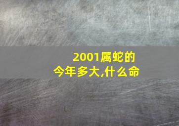 2001属蛇的今年多大,什么命