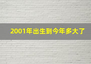 2001年出生到今年多大了