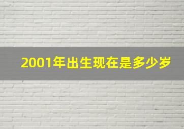 2001年出生现在是多少岁