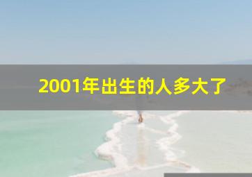 2001年出生的人多大了