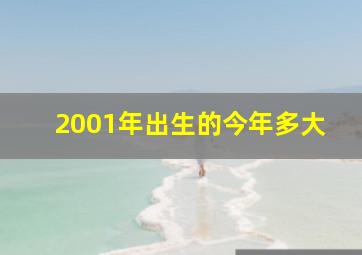 2001年出生的今年多大