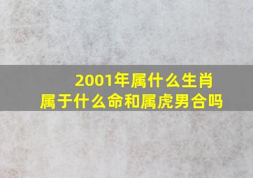 2001年属什么生肖属于什么命和属虎男合吗