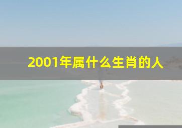 2001年属什么生肖的人