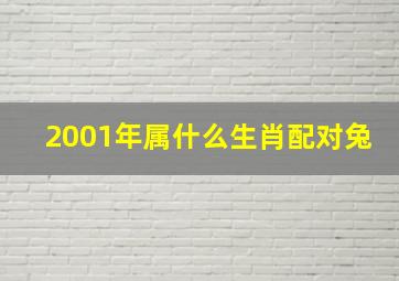 2001年属什么生肖配对兔