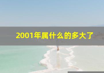 2001年属什么的多大了