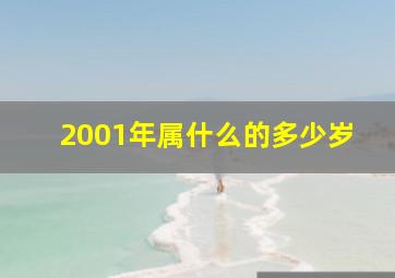 2001年属什么的多少岁