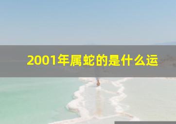 2001年属蛇的是什么运