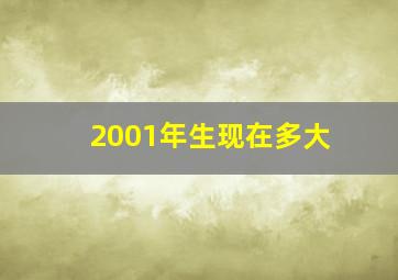 2001年生现在多大