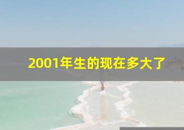 2001年生的现在多大了