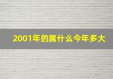 2001年的属什么今年多大