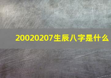 20020207生辰八字是什么