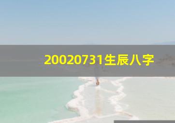 20020731生辰八字