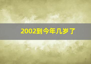 2002到今年几岁了