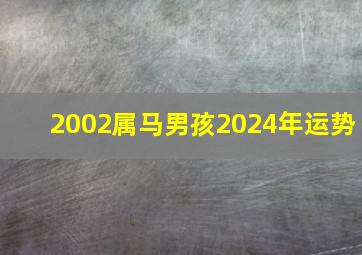 2002属马男孩2024年运势