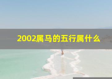 2002属马的五行属什么