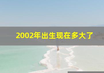 2002年出生现在多大了