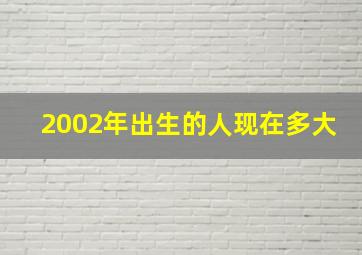 2002年出生的人现在多大