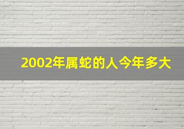 2002年属蛇的人今年多大