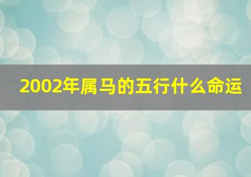 2002年属马的五行什么命运