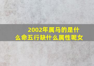 2002年属马的是什么命五行缺什么属性呢女