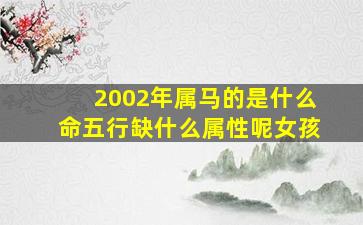 2002年属马的是什么命五行缺什么属性呢女孩