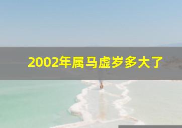 2002年属马虚岁多大了