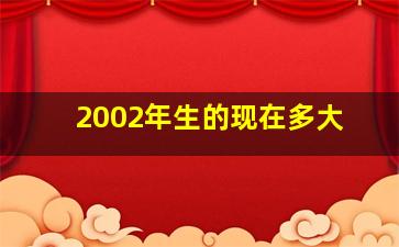 2002年生的现在多大