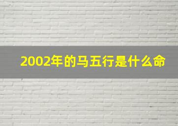 2002年的马五行是什么命