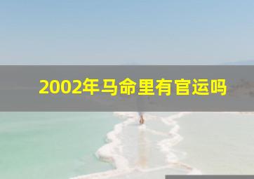 2002年马命里有官运吗