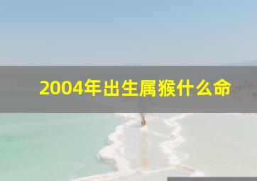 2004年出生属猴什么命