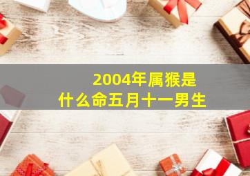 2004年属猴是什么命五月十一男生