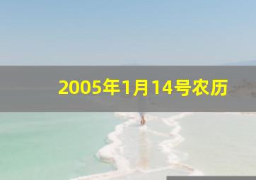 2005年1月14号农历