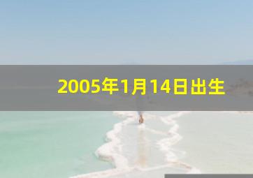 2005年1月14日出生