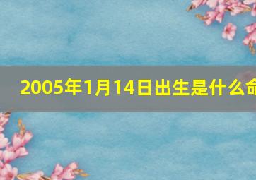 2005年1月14日出生是什么命