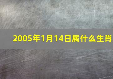 2005年1月14日属什么生肖