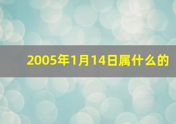 2005年1月14日属什么的