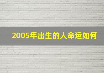 2005年出生的人命运如何