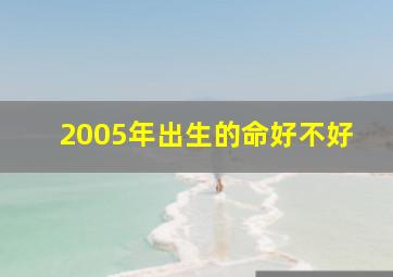 2005年出生的命好不好