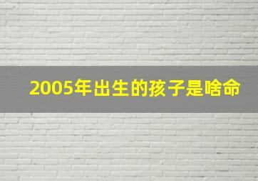 2005年出生的孩子是啥命