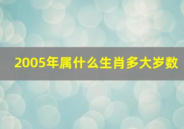 2005年属什么生肖多大岁数