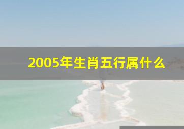 2005年生肖五行属什么