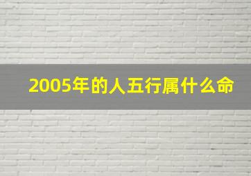 2005年的人五行属什么命