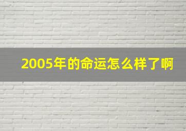 2005年的命运怎么样了啊