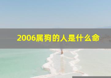 2006属狗的人是什么命