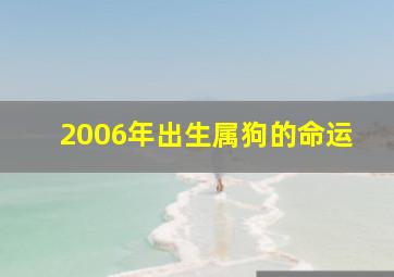 2006年出生属狗的命运