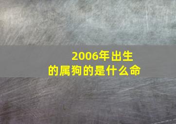 2006年出生的属狗的是什么命