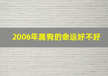 2006年属狗的命运好不好