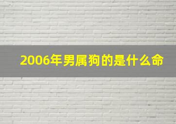 2006年男属狗的是什么命