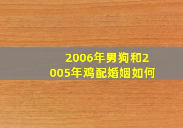 2006年男狗和2005年鸡配婚姻如何