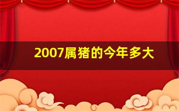 2007属猪的今年多大